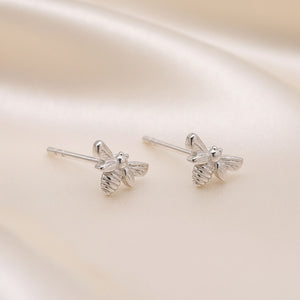 African Honey bee studs
