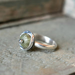 Nested small sea urchin ring
